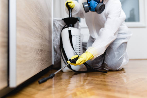 Best Pest Removal Services  in Bowman, ND