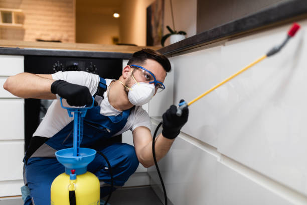 Best Ant Control Services  in Bowman, ND