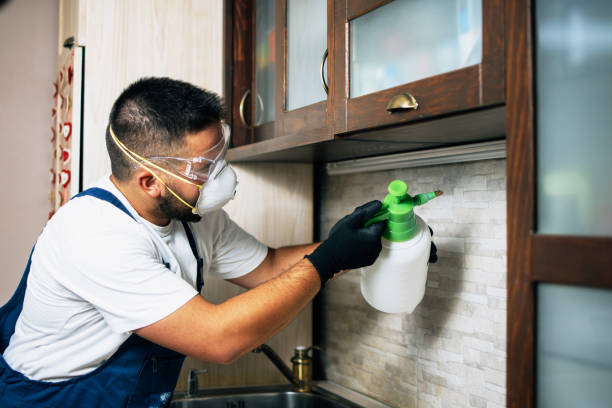 Best Pest Prevention Services  in Bowman, ND
