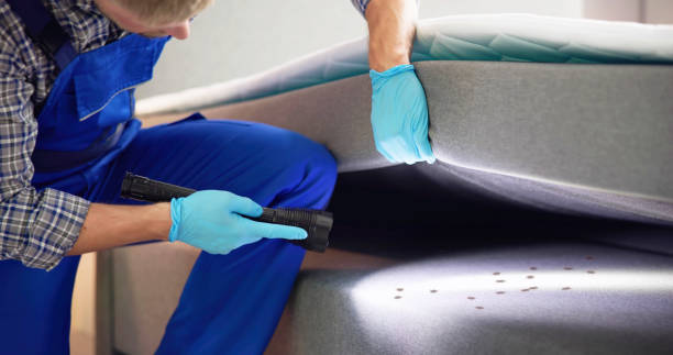 Best Emergency Pest Control  in Bowman, ND