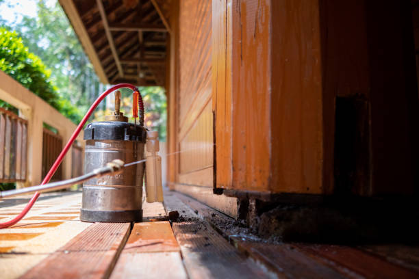 Best Affordable Pest Control Services  in Bowman, ND