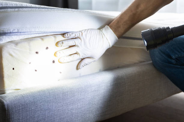 Best Pest Control Treatment  in Bowman, ND