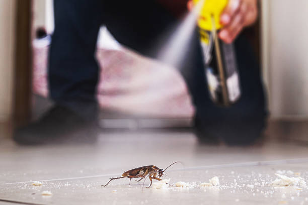 Best Local Pest Control Services  in Bowman, ND