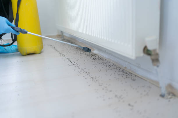 Best Wildlife Control Services  in Bowman, ND