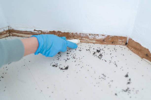Bowman, ND Pest Control Company