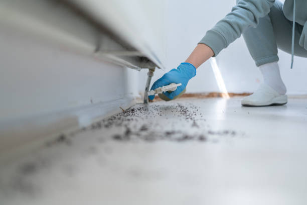 Best Affordable Pest Control Services  in Bowman, ND