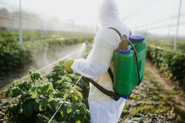 Best Pest Control Treatment  in Bowman, ND